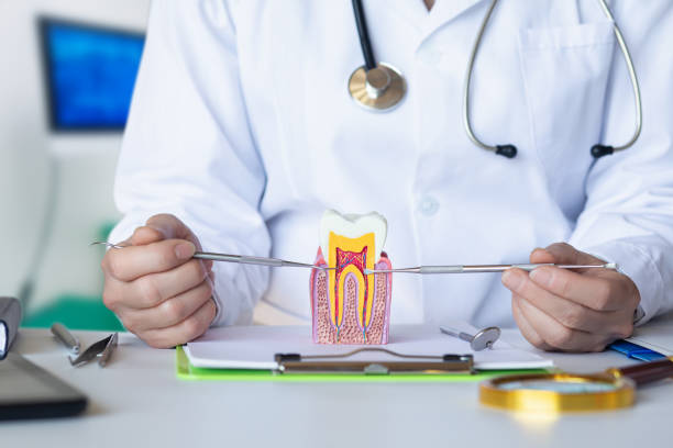 Best Cracked Tooth Emergency Dentist  in Nelsonville, OH